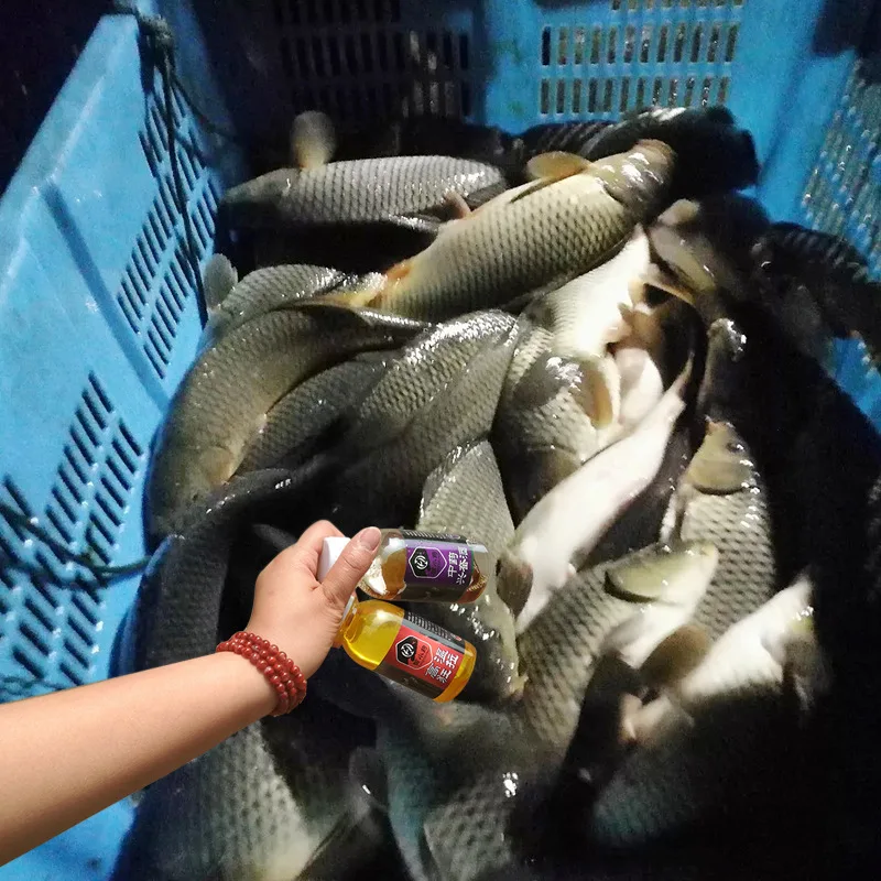 Had Small Fishing Mad Pull Carp High Temperature Small Summer Small Yue 51-100 Yuan Black Pit Fishing Angling Carp Bait
