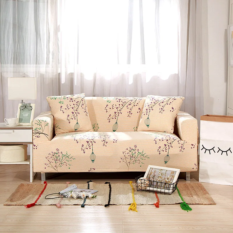 8851485559_115378643