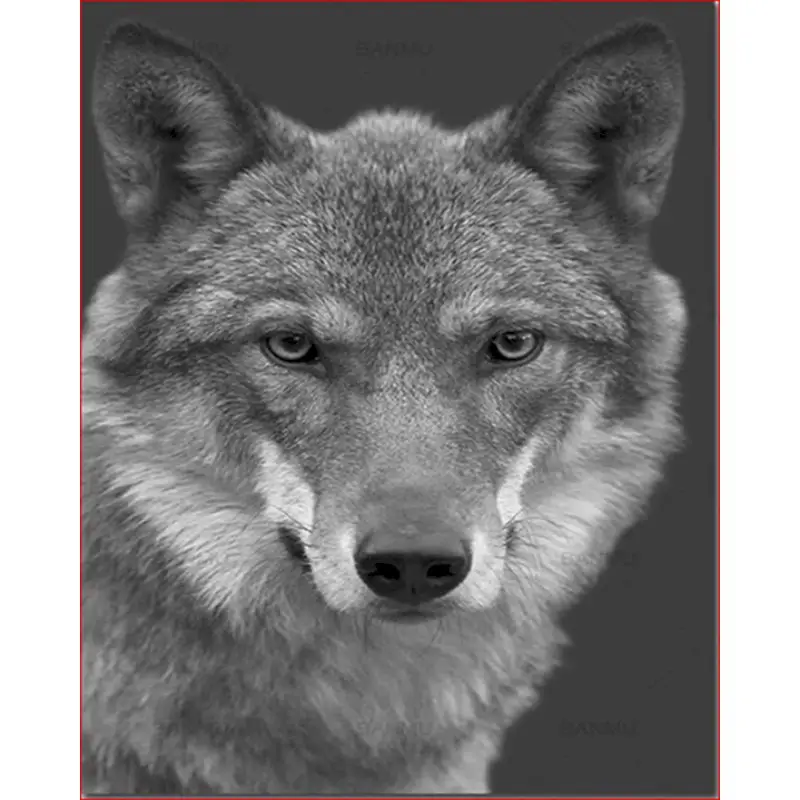 

Dazed dog Animal DIY Drawing Painting by Numbers oil painting mural Kits Coloring Picture on Wall Decoration Children Gift