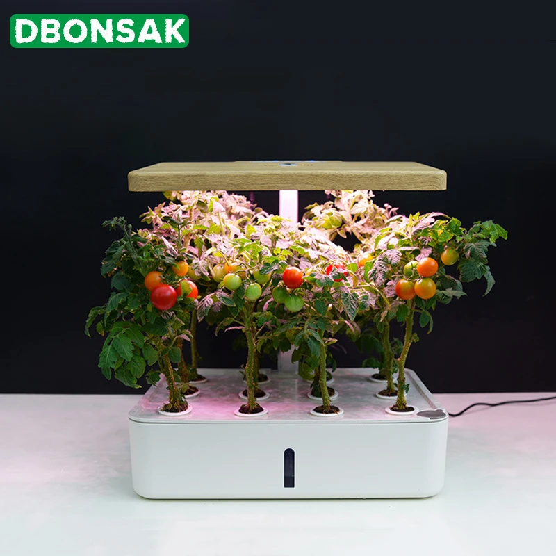Image of Soil-less planter box