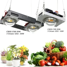 

CXB3590 COB LED Grow Light Full Spectrum 100W 200W Citizen 1212 & CXB3070 DIY Plant Grow Lamp for Greenhouses Hydroponic Plant