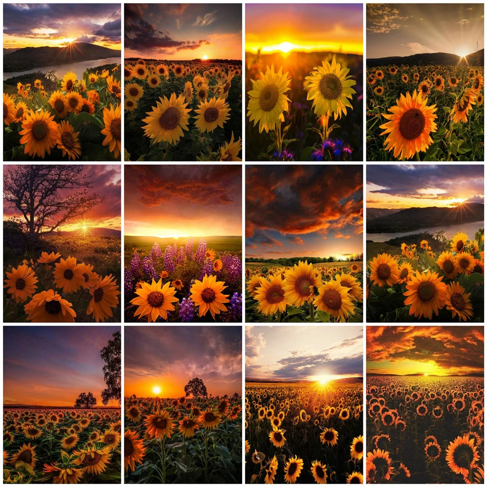 HUACAN Pictures By Number Sunflower Kits Home Decor Painting By Number  Sunset Drawing On Canvas HandPainted Art Gift|Paint By Number| - AliExpress