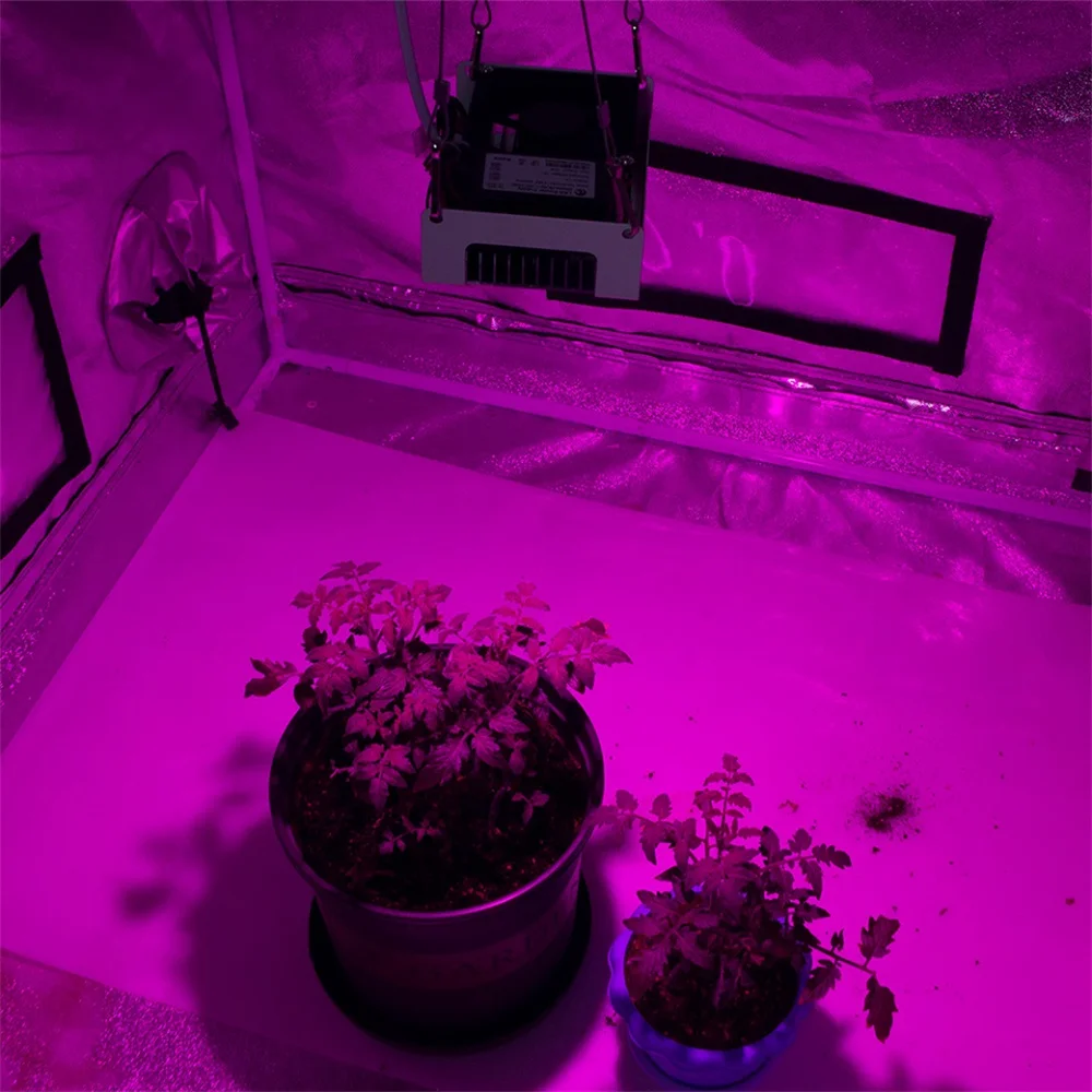 Cob Led Grow Light Spettro Completo 100W Phyto Lamp Ac110-240V Led Plant Grow Lamp Per Tende Da Interno Serre Pianta Idroponica