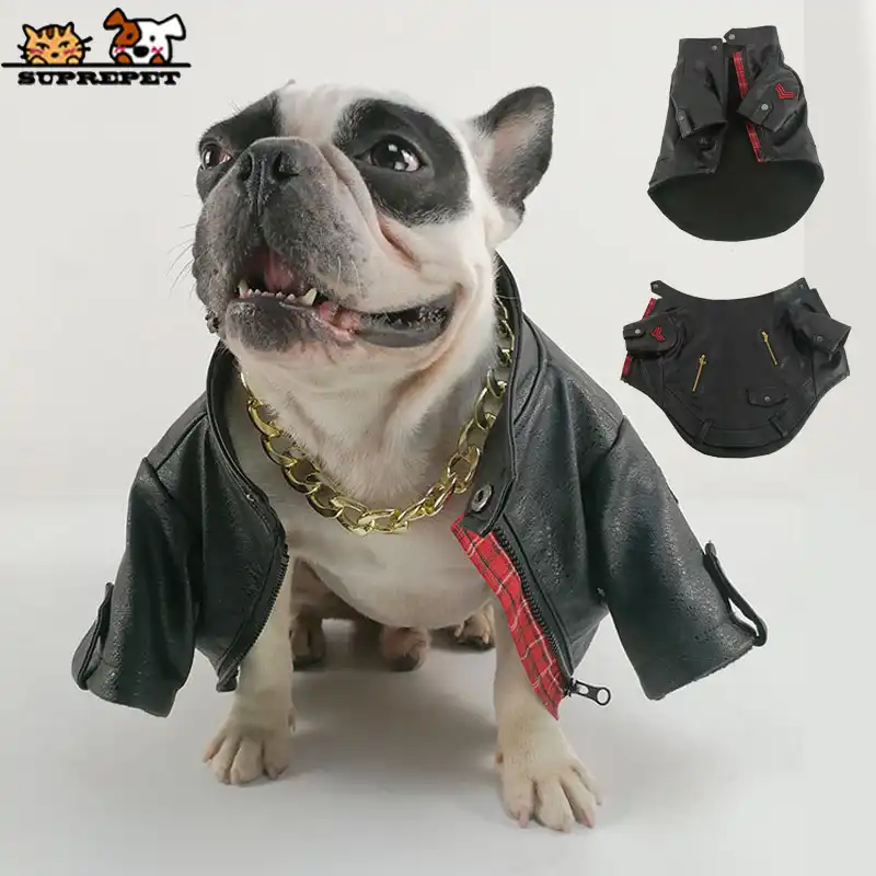 dog coats for french bulldogs