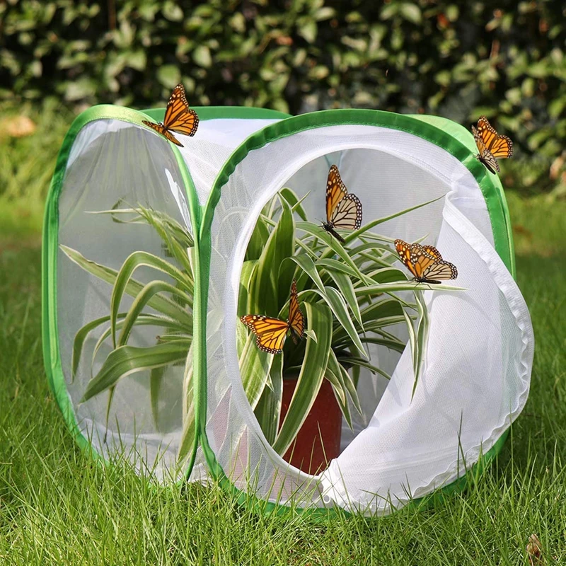 Insect and Butterfly Habitat Cage Terrarium Pop-up 12 x 12 x 12 Inches(White+ green