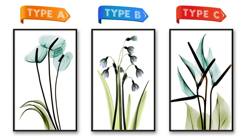 CKF0079-透明花卉三联ABC款