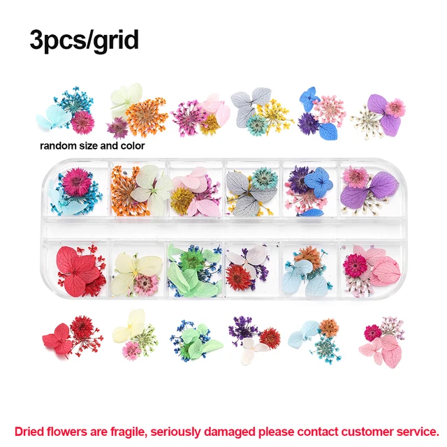 1Box Dried Flowers Dry Plants for Rsein Molds Fillings Epoxy Resin Pendant Tweezers Jewelry Making Craft DIY Nail Art Decoration Style 03
