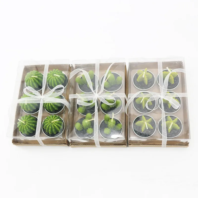 Mini bougies plantes succulentes