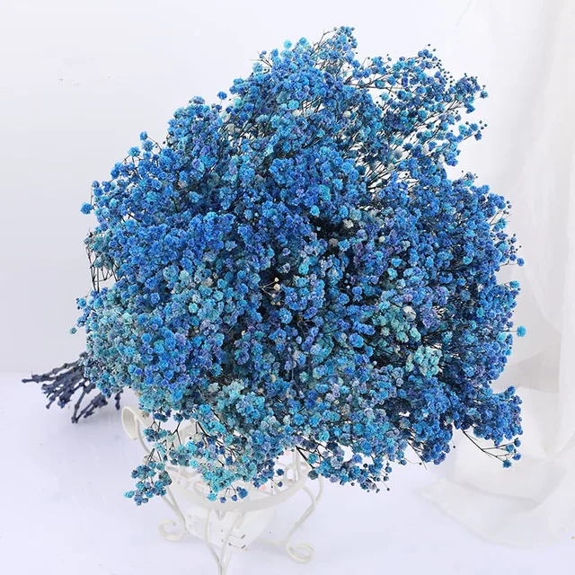 Natural Fresh Dried Preserved Flowers Gypsophila Paniculata,Baby's Breath Flower Bouquets Gift for Wedding Decoration,Valentines blue