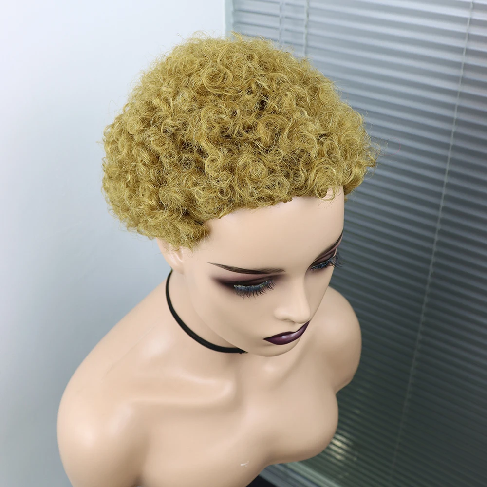 Short Curly Hair Wigs Pixie Cut Brazilian Human Hair For Black Women Natural Black 150% Density Glueless Afro Kinky Curly Wig