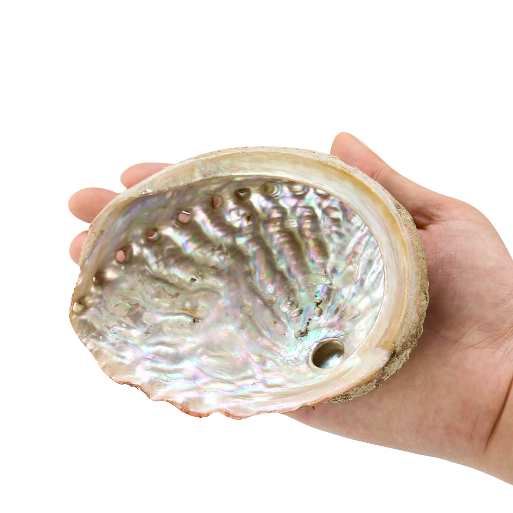 Hf75654f701b9472a8db7d7a650495caan.jpg?width=1001&height=1001&hash=2002