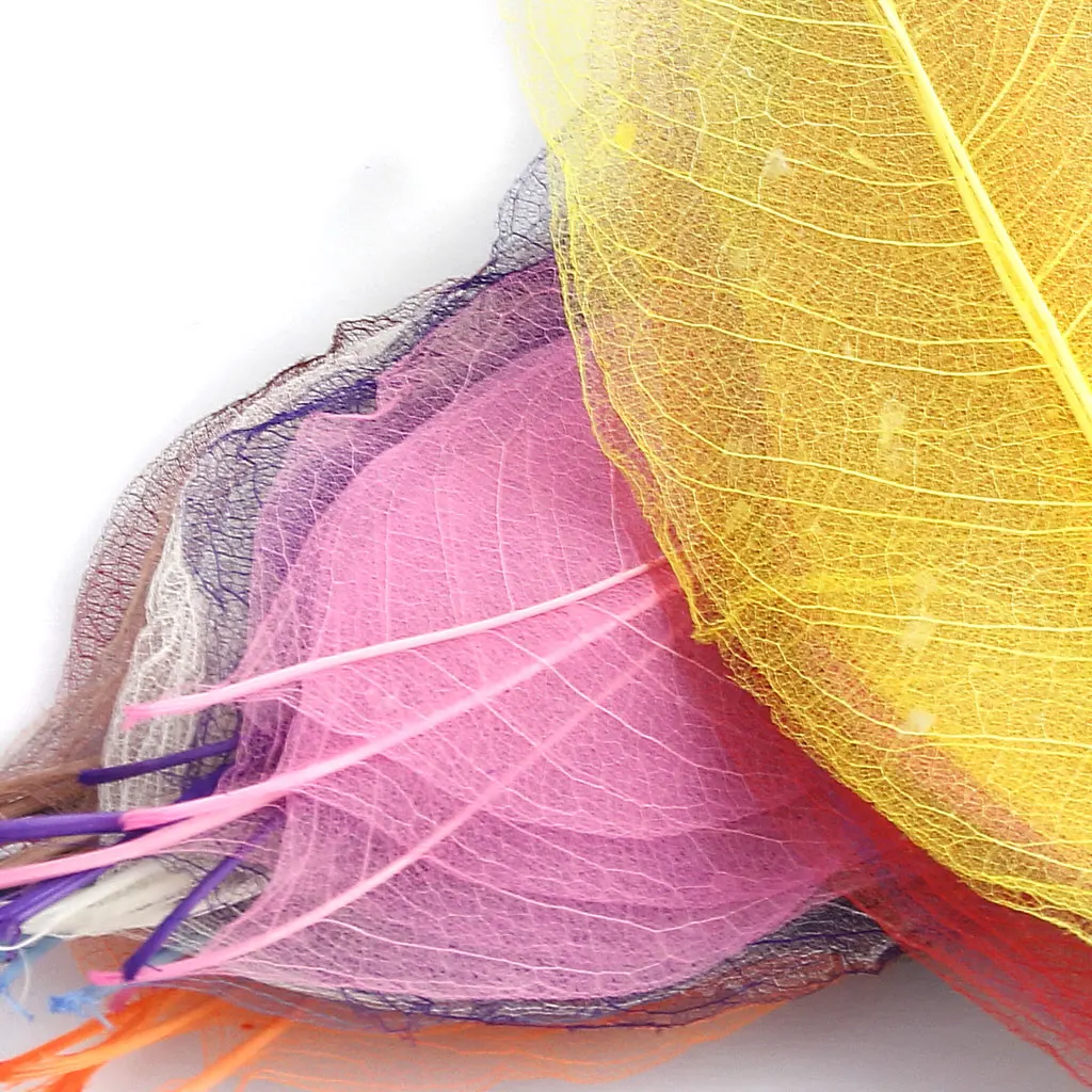 50pcs Natural SKELETON LEAVES Colored SCRAPBOOK Craft Embellishment Bookmark