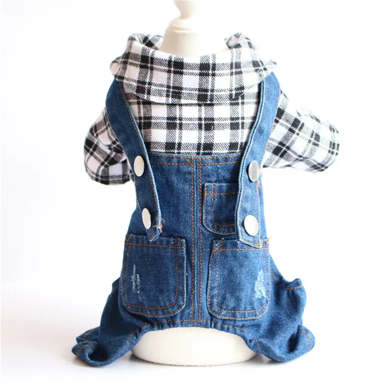 10781609905_289572969