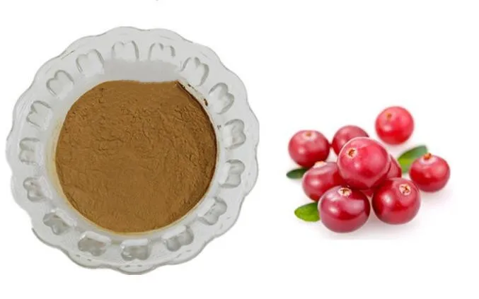 

10-1000 Grams Alpha Arbutin Powder Pure Skin Lightener