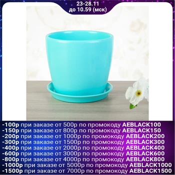

Flowerpot Autumn, gloss, turquoise, 2 L 2798736