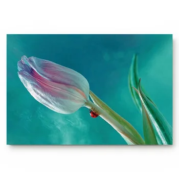 

A Ladybird On A Lily Indoor Bathroom Decor Doormats