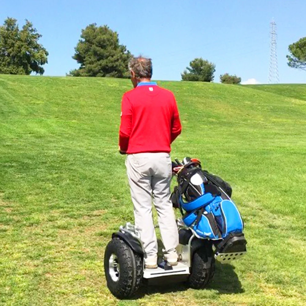 Eu Stock Electric Scooters Two-wheel Off-road Smart Balance 19 Inch Self Balance ES6 Golf Bag Holder Made Of Alu Eswing Scooters