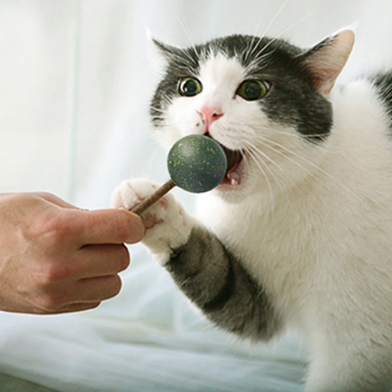 2 шт./компл. Pet Cat Натуральная кошачья мята мяч для игры милость дома погоня игрушки вкусные леденцы Catnip мяч и Silvervine палка