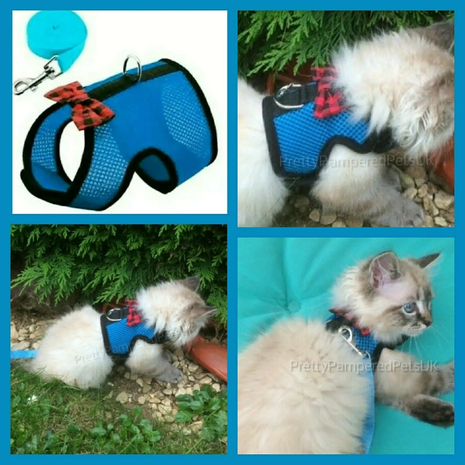 Pet Harness Set Pet Harness Leash Set Pet Leash Set XXXS XXS XS Puppy Dog Teacup Chihuahua Harness Lead Mesh Vest for Tiny Kitty Cat Yorkie Maltese Rabbit Kitten Harness Vest