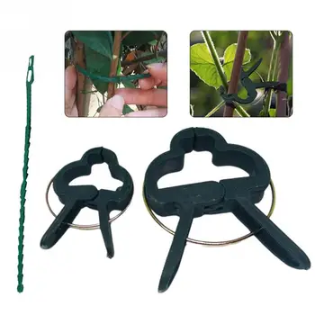 

Reusable Fastener With Twist Tie Vines Support Stems Plant Clip Set Tool Accessories Grape Flower Vegetables Garden Stalks