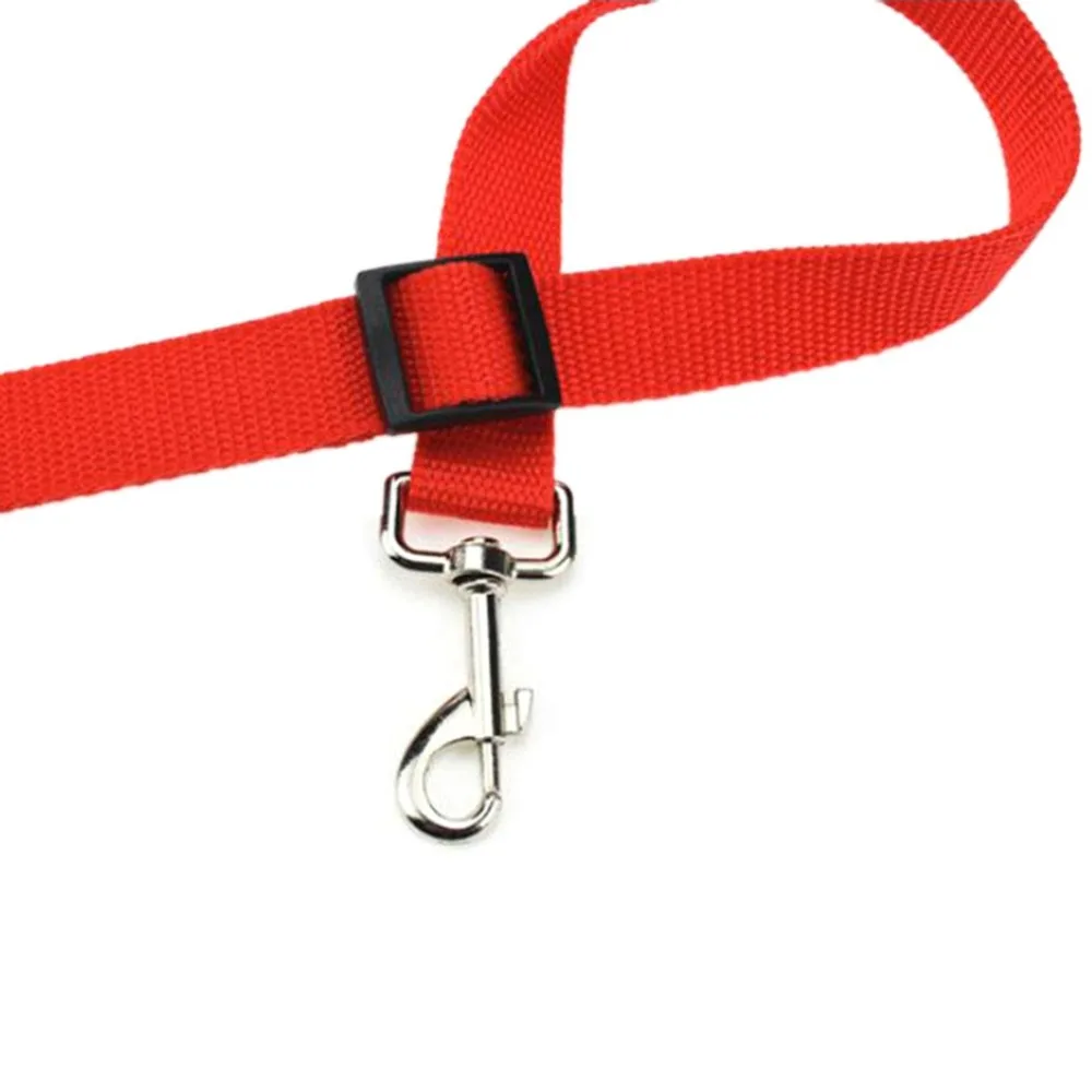 QP5081301-C-20190709-1