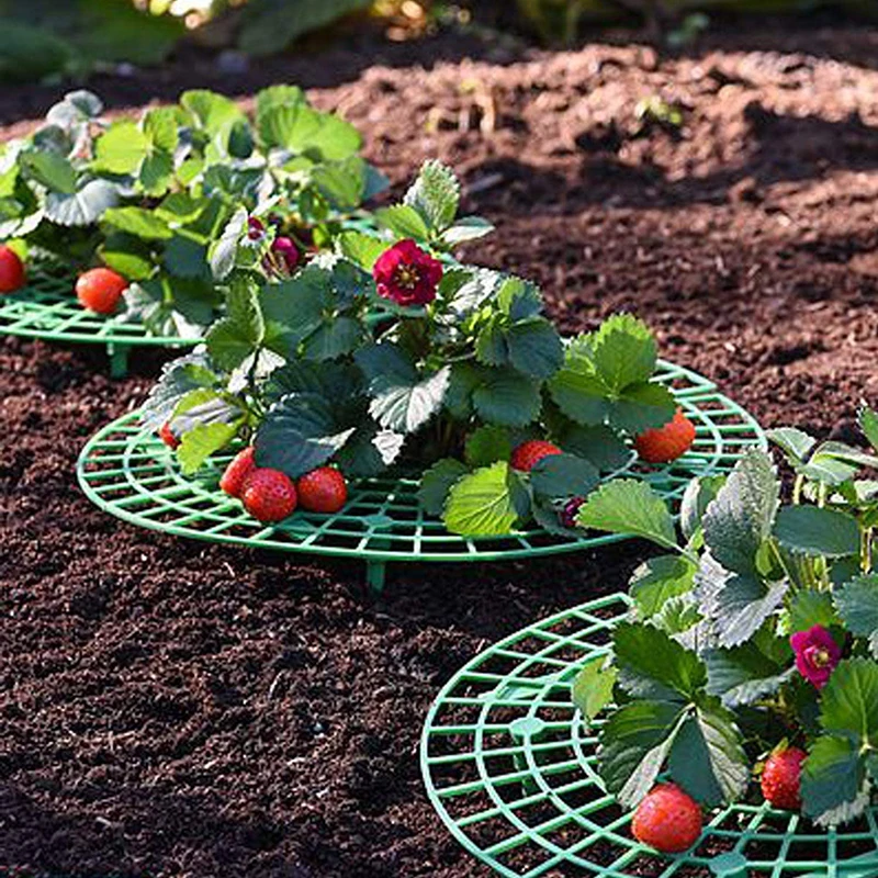 planta, Cremalheira de cultivo de vegetais, Ferramentas