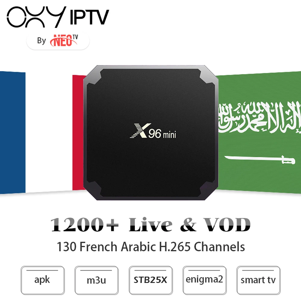 

1 Year best French Arabic IPTV subscription with X96mini Android Smart TV Box for France Belgium Holland Algeria Morocco Channel