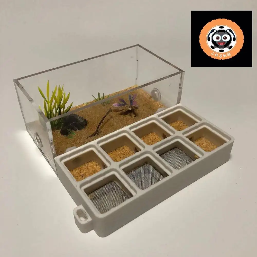 3D печать PLA Ant Nest новые муравьи фермы плоские акриловые муравьи мастерские насекомые клетки граня де гормигаз nid fourmis вилла ПЭТ мания