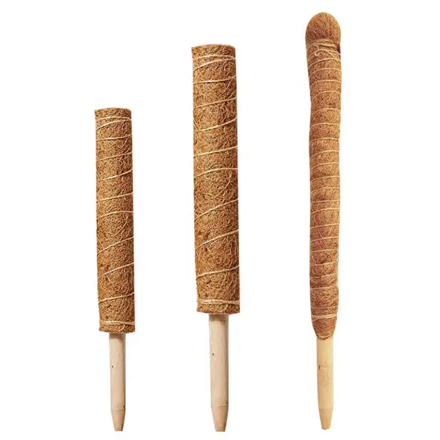 Növényi Hegymászó Kókuszdió Totem Kertészkedés Kókuszdarab Pólus Biztonságos A Növények Mászásához Szőlő És Kúszónövény