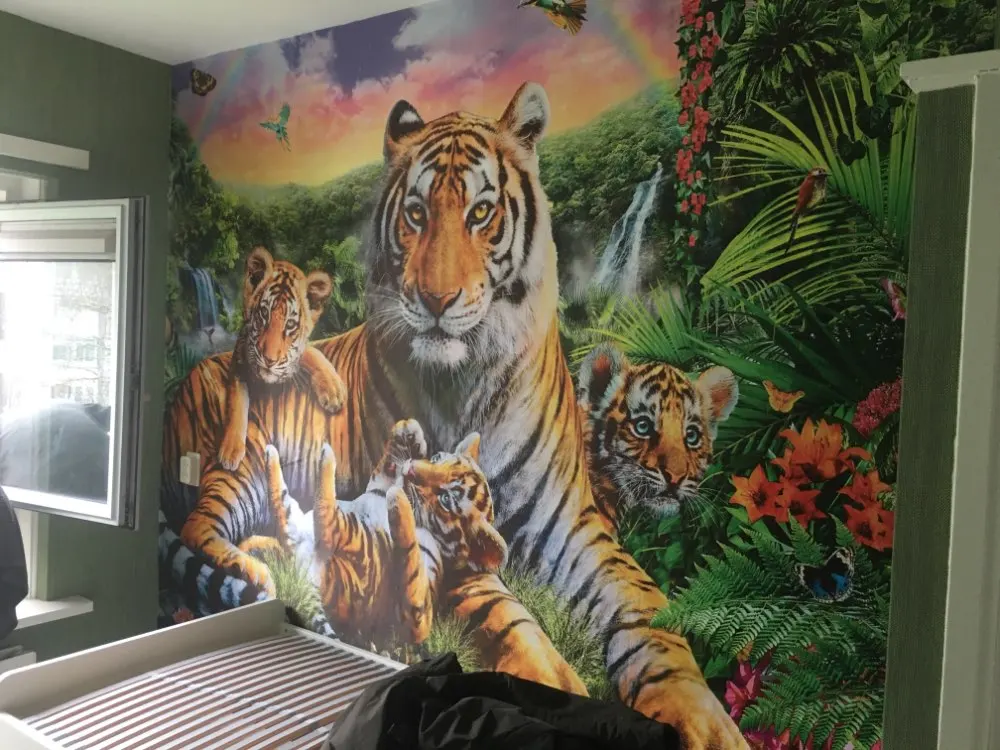 U1725a5a66e514c279c7bf0f68cd270ecv