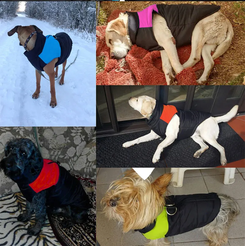 1 шт., водонепроницаемая куртка для собак, щенков, жилет, одежда для чихуахуа, теплая зимняя одежда для собак, пальто для маленьких, средних и больших собак, 4 цвета