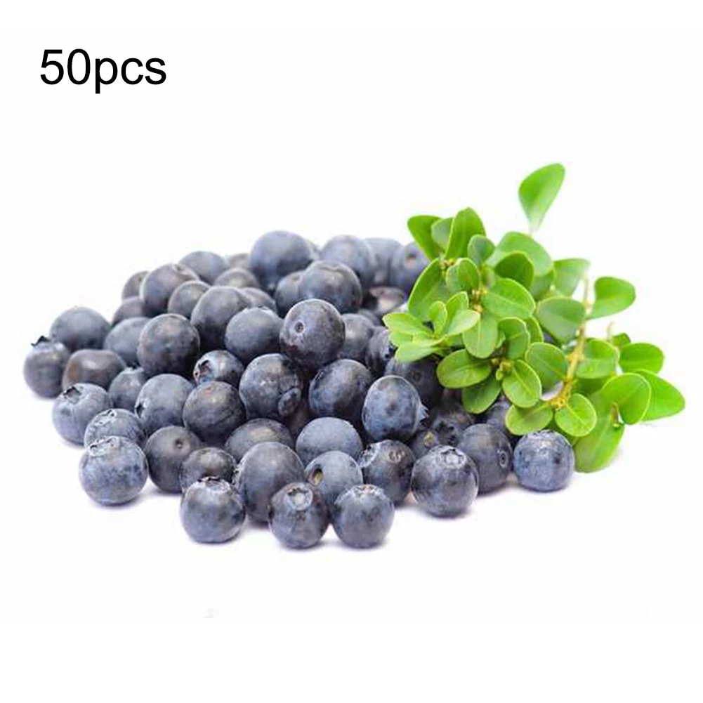 

50 pcs/set Artificial Blueberry Crafts Simulation Foam Fake Fruit Blueberries Photography Prop Home Kitchen Cabinet Decoration