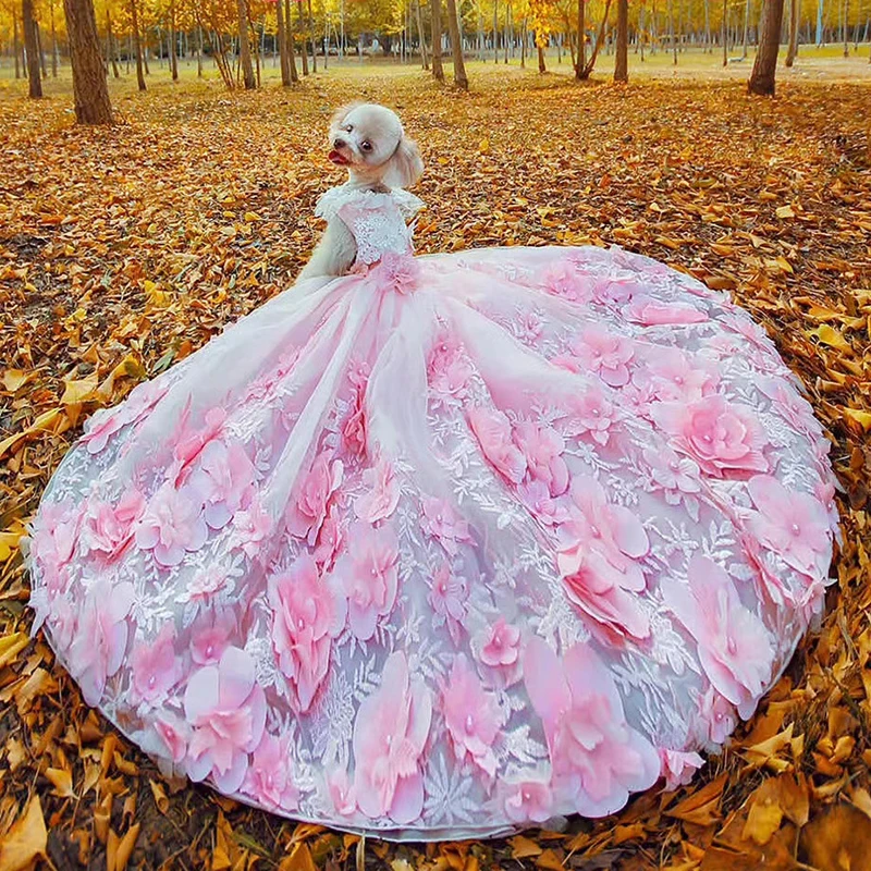 Quinceanera dog dresses Clearance