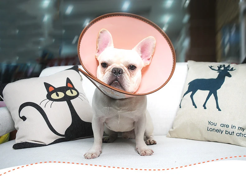 Elizabeth Circle Defense Cat And Dog шарф головной убор для собак защита домашних животных набор для укуса медицинский ошейник для лошади