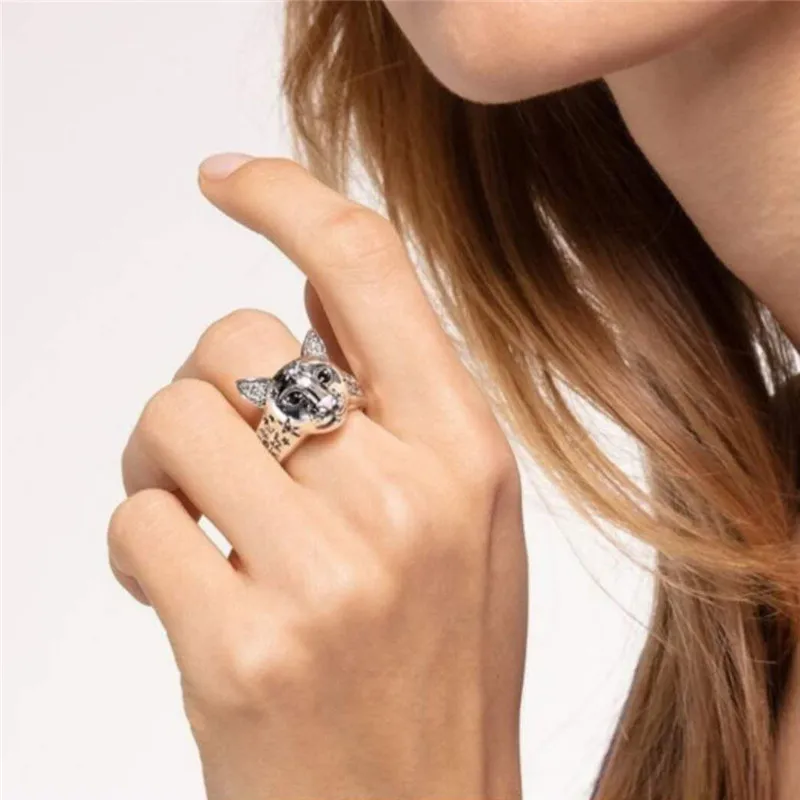 20339345581_630415298