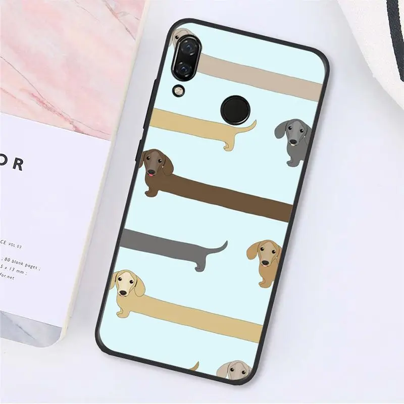 Cute Animal Dachshund Dog Puppy 