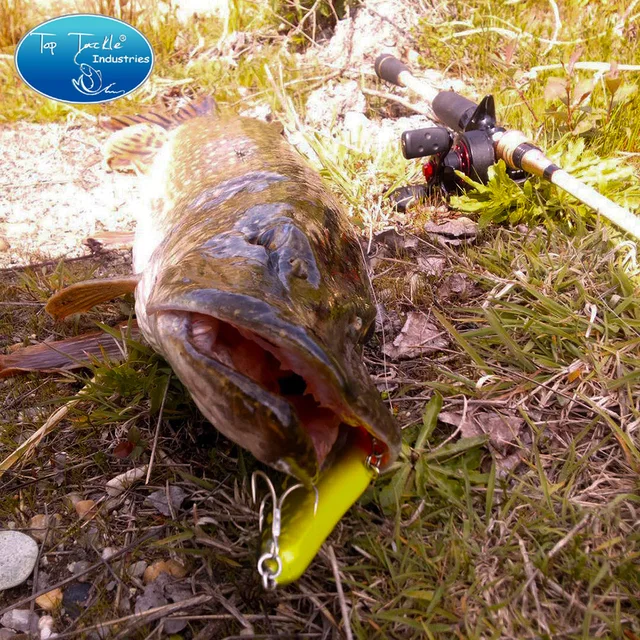 CF-lure – 95mm pencil pikkujerkki