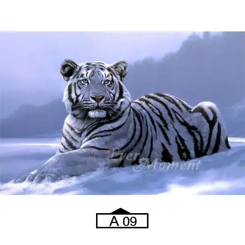 Ever Moment алмазная живопись декор белый леопард тигр снег 5D DIY Полная квадратная мозаика Алмазная вышивка бисером работа ASF1940 - Цвет: A09