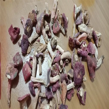 

Prodgf 100Gram A Set Russula vinosa