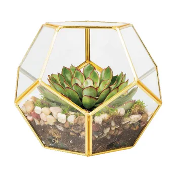 

Modern Glass Terrarium Flower Pot Gold Geometric Terrarium Bonsai Flower Pots Plant Planter Desktop Display Flowerpot