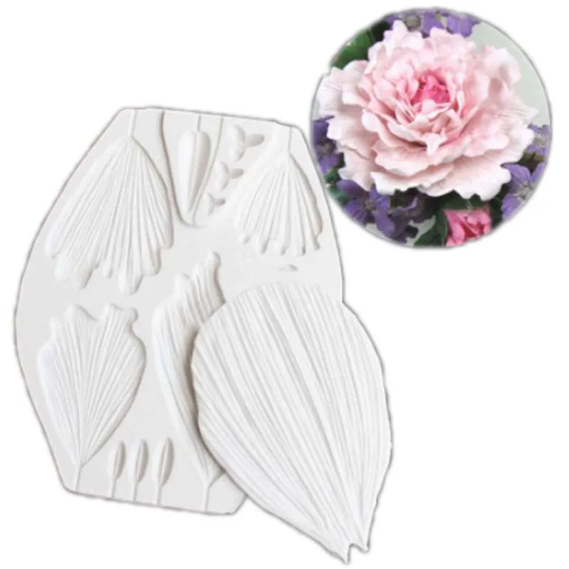 Pioen Tulp Bloem Fans Lily Leaf Bud Veiner Silicone Mold Fondant