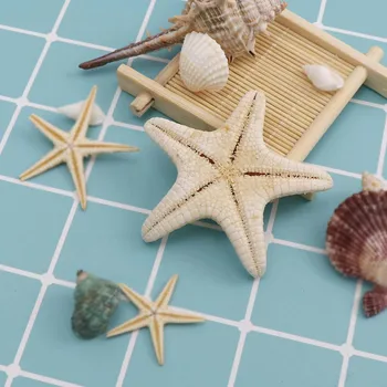 

1pc/box 5-7cm Big Hoe Starfish Beach Craft Natural Sea Stars Craft Decoration DIY Handmade Accessories