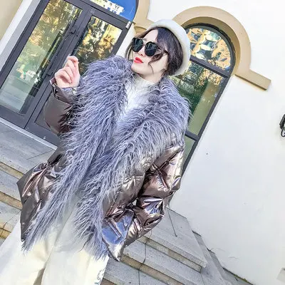 Осенне-зимнее новое яркое хлопковое пальто Женская модная Свободная верхняя одежда большой меховой воротник Ретро Парка женская W153 - Цвет: Photo Color