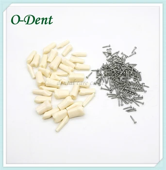 

32pcs Dental Simulation Teeth resin Tooth Grain Teaching Model Dental Lab Material Simulated Typodont Model for Dentist Exam