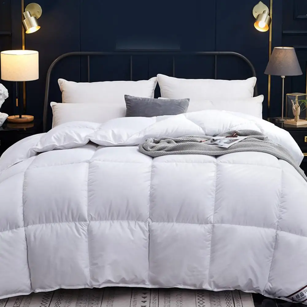 

1PCS Goose Down Quilt solid color sanding comforter thick winter bedding warm feather velvet core quality quilt autumn blanket