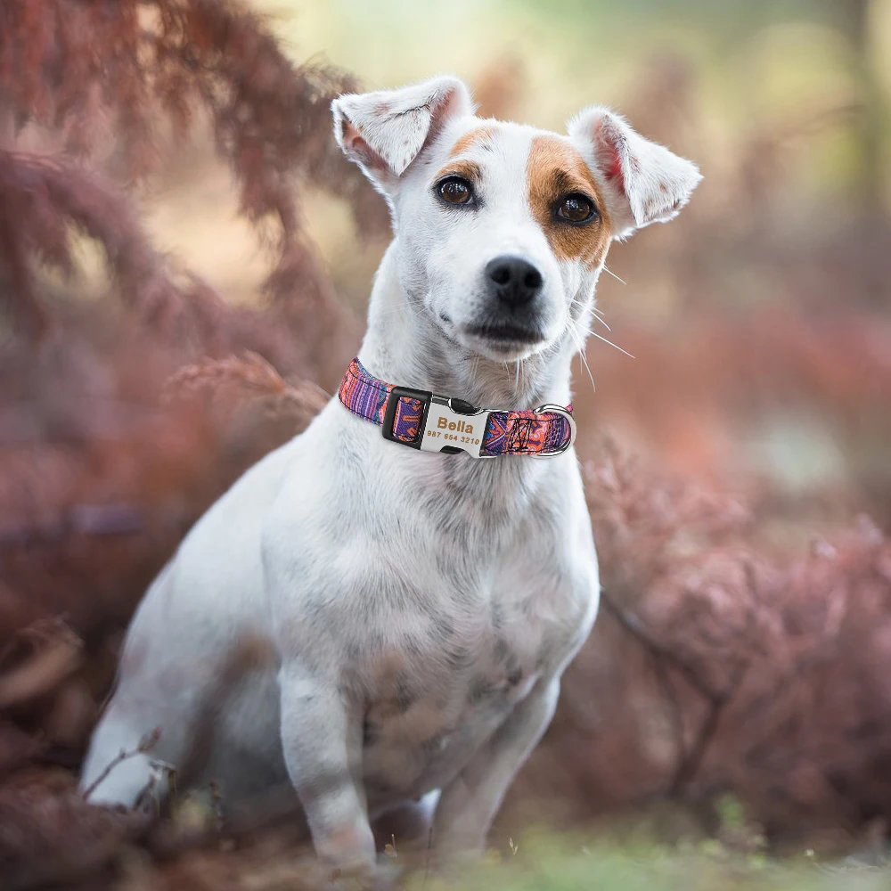 Adjustable Nylon Custom Dog Collar Free Engraved Name ID Tag Personalized Dog Collar Small Large Product Plaid Unisex for Dog Collar Pet Collar