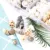 Mix Style Natural Shell 1-3 см 1 КОРОБКА Natural Conch Shells Mini Conch Corn Screw Wall Decoration DIY Aquarium Landscape Seashells