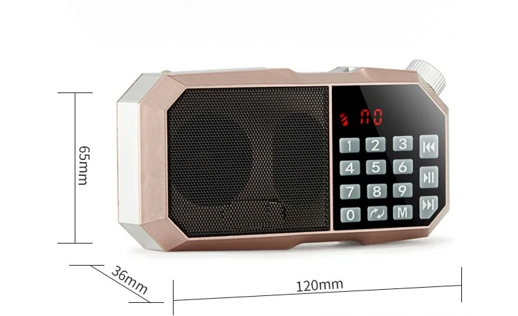 Карманный мини портативный Радиоприемник с 2 батареями 18650 цифровой светодиодный дисплей fm-радио приемник динамик поддержка USB TF карта