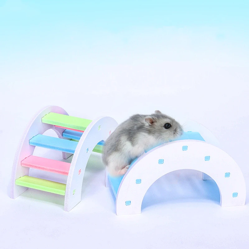 hamster rainbow bridge
