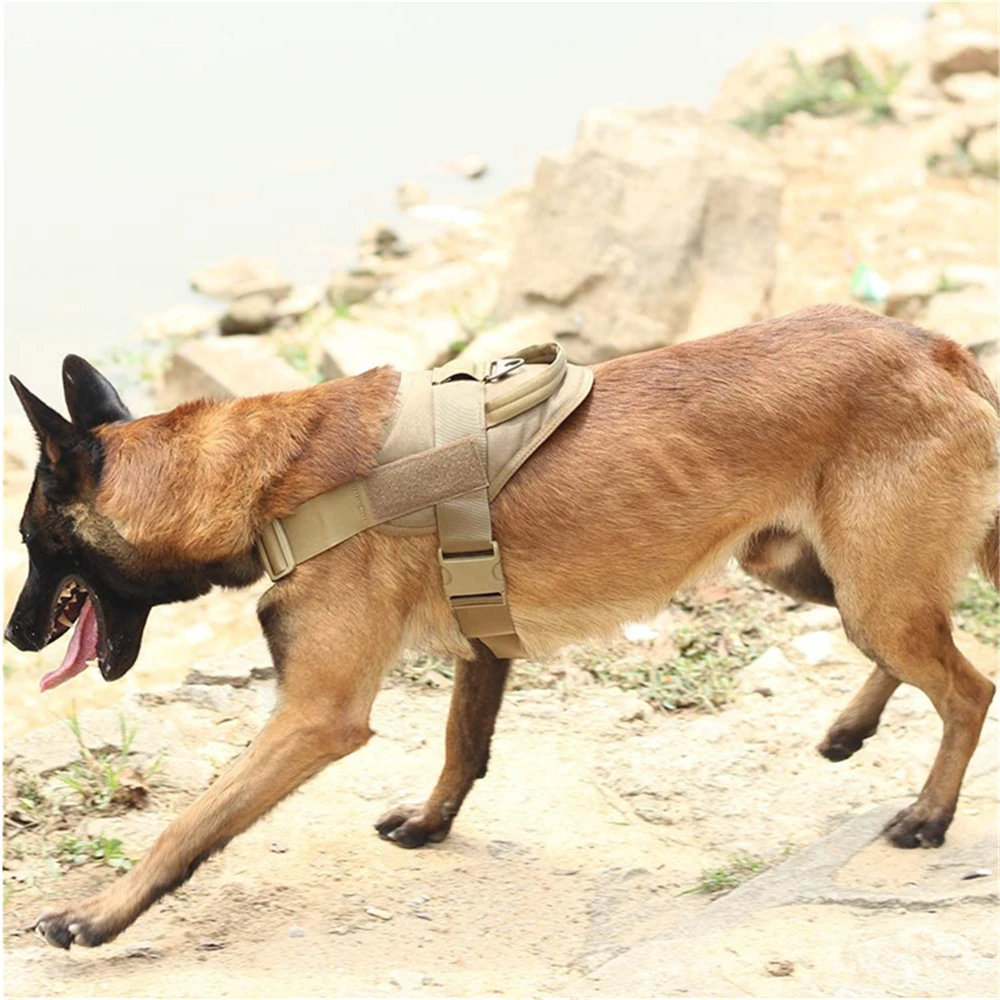 Tactical Big Dog Harness Chest Dog Vest German Shepherd Pet Dog Pectoral Collar Nylon Adjustable Training For Medium Large Dogs Harnesses Aliexpress